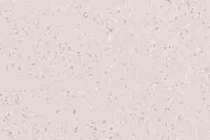 Линолеум Polyflor Palettone Pur Urban-Air-8625 Бежевый фото  | FLOORDEALER